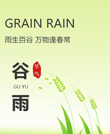 谷雨芒种 传统习俗养生二十四节气 简约中国风 绿色模板