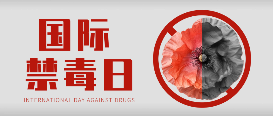 国际禁毒日海报分享：共筑无毒世界，守护生命之花