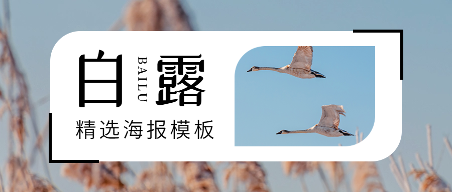 白露海報(bào)推薦：白露雅韻，共賞秋意畫(huà)卷