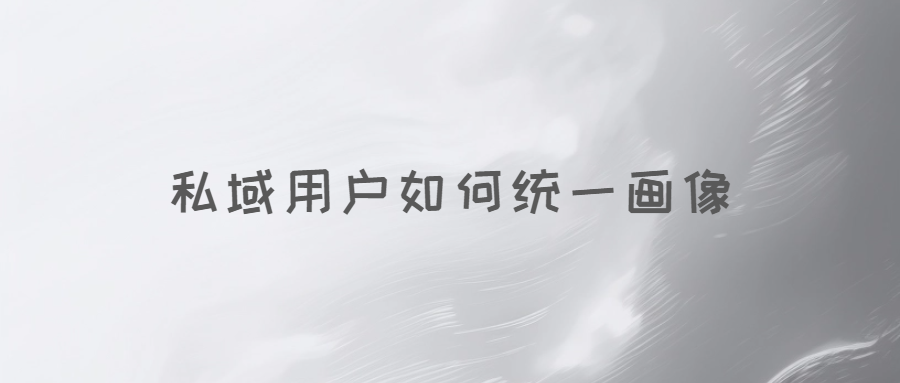 如何在私域?qū)τ脩?hù)進(jìn)行統(tǒng)一畫(huà)像和標(biāo)簽