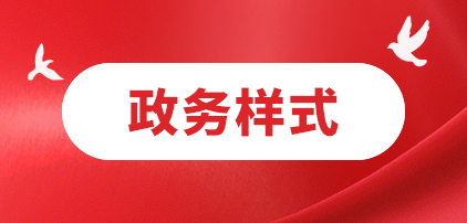 政務(wù)樣式