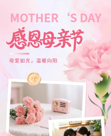 母亲节祝福感恩活动、节日、简约文艺、粉色模板