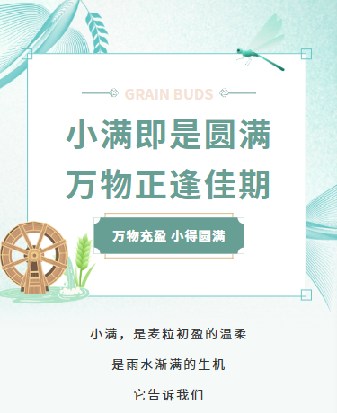 小满二十四节气传统习俗/小清新/蓝色模版