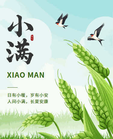 小满节二十四节气、清新手绘、绿色模板