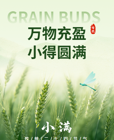 小满节气传统二十四节气简约绿色模板