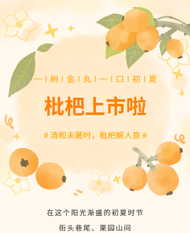 枇杷上市夏日水果丨电商产品丨手绘卡通丨黄色模板
