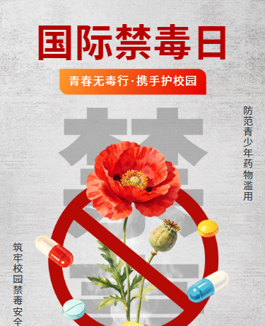国际禁毒日 | 禁毒反毒科普 | 校园教育 | 简约灰色