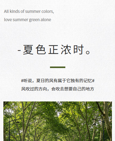夏季杂志期刊散文诗歌丨旅游旅行丨极简简约丨绿色