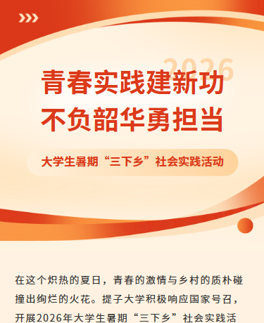 暑期三下乡社会实践活动乡村振兴、校园教育、简约商务通用、红色模板