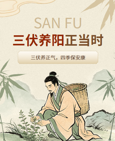 三伏养生夏季中医养生传统插画古风棕色模版