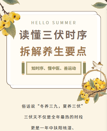三伏天中医养生盛夏时节、古风中国风、棕色模版