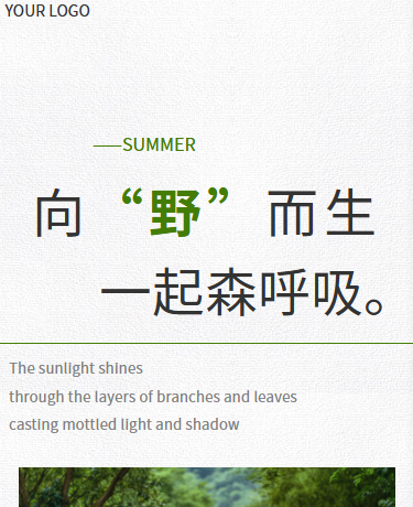 夏季旅游杂志期刊丨简约极简高级INS杂志风丨绿色
