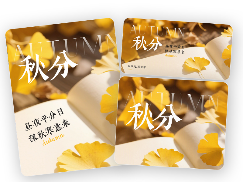 多尺寸+视频工作流