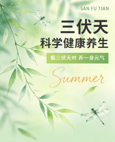 三伏天科学养生 | 夏季防暑健康科普 | 插画绿色