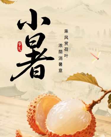 小暑二十四节气三伏天/古风中国风/棕色模版