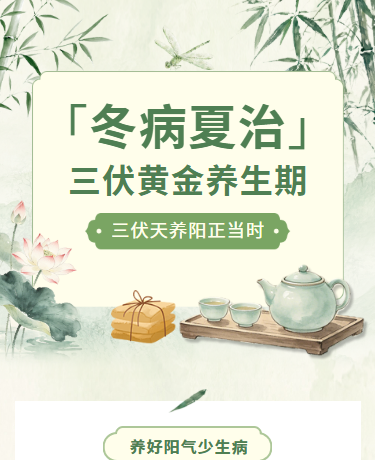 三伏天养生 | 夏季健康中医理疗 | 中国风绿色
