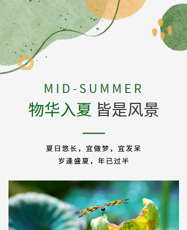 夏季散文诗歌随笔丨极简简约文艺丨莫兰迪色