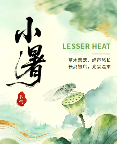 二十四节气小暑传统习俗 | 夏季三伏天养生 | 中国风绿色