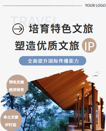 本地特色文旅IP打造宣传推广丨文旅政策通告丨简约丨灰色模版