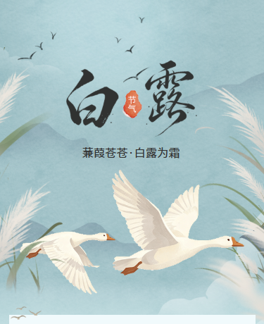 白露二十四节气、国潮风插画、蓝色模板