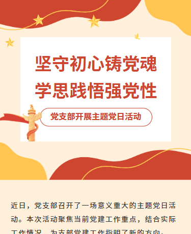 党建会议党日活动总结学习、政务、简约通用、红色模板