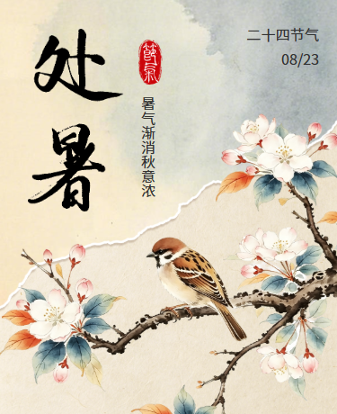 处暑二十四节气、中国风插画、棕色模板