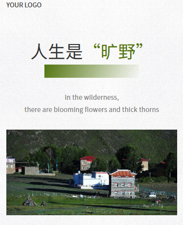 旅游杂志期刊散文丨极简简约杂志风丨绿色