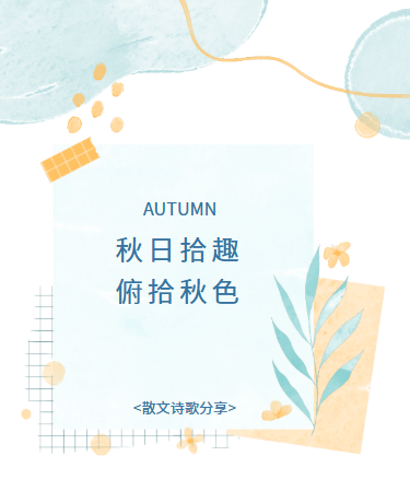 秋季散文随笔分享丨校园丨简约文艺丨莫兰迪色
