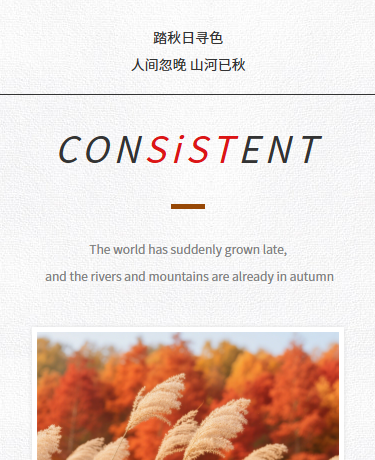 秋季时尚生活杂志期刊散文诗歌丨简约极简杂志风丨黑白棕色模板