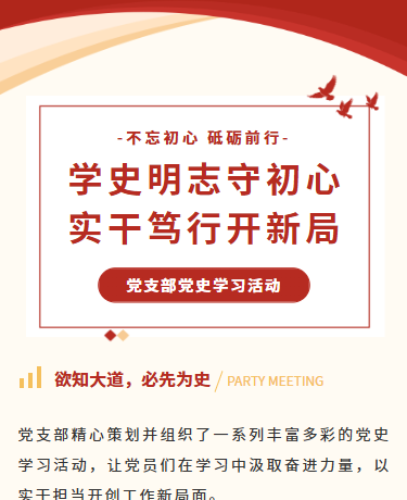 党支部党史学习活动、党政政务、简约通用、红色模板