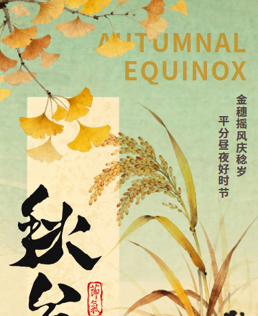 秋分传统二十四节气、手绘国风、黄色模板