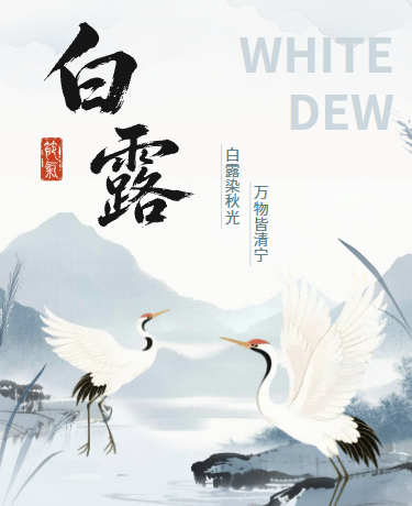 白露二十四节气、中国风插画、灰蓝色模板