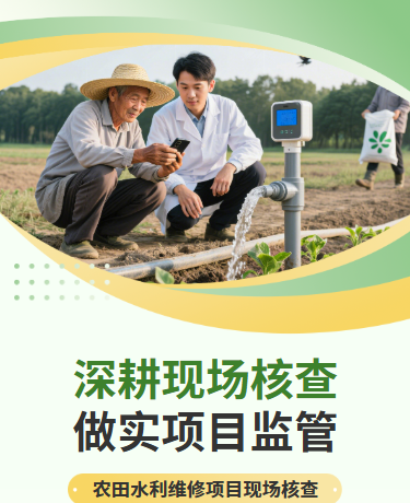 调研走访农田水利维修项目现场核查纪实、项目现场核查、简约通用、绿色模板