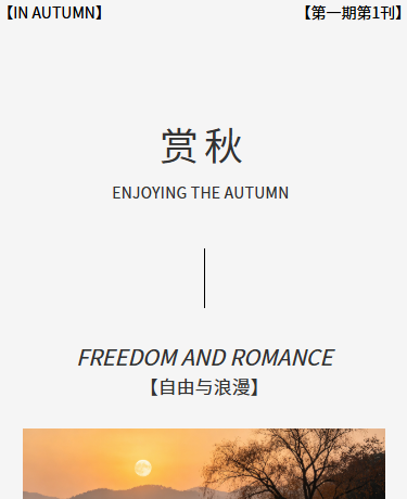 杂志期刊散文丨企业丨简约极简INS丨高级灰模板