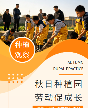 秋季中学种植劳动实践活动丨校园劳动教育丨简约丨杏色