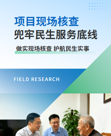 调研走访养老服务设施改造项目核查纪实、项目现场核查、简约通用、蓝绿色模板