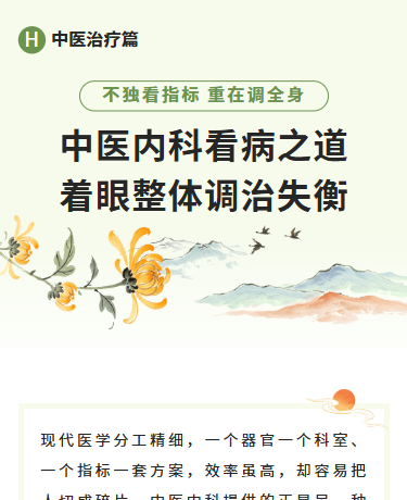 中医内科的看病之道、中医内科、古风简约、绿色模板
