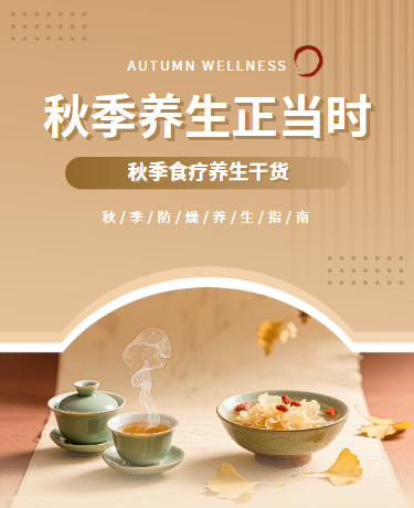 秋季防燥养生指南健康科普、中医养生与食疗、简约通用、灰色模板