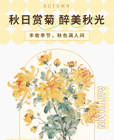 秋日赏菊散文诗歌、文艺ins简约、黄色模板