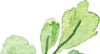 leaves-6747942-4.png