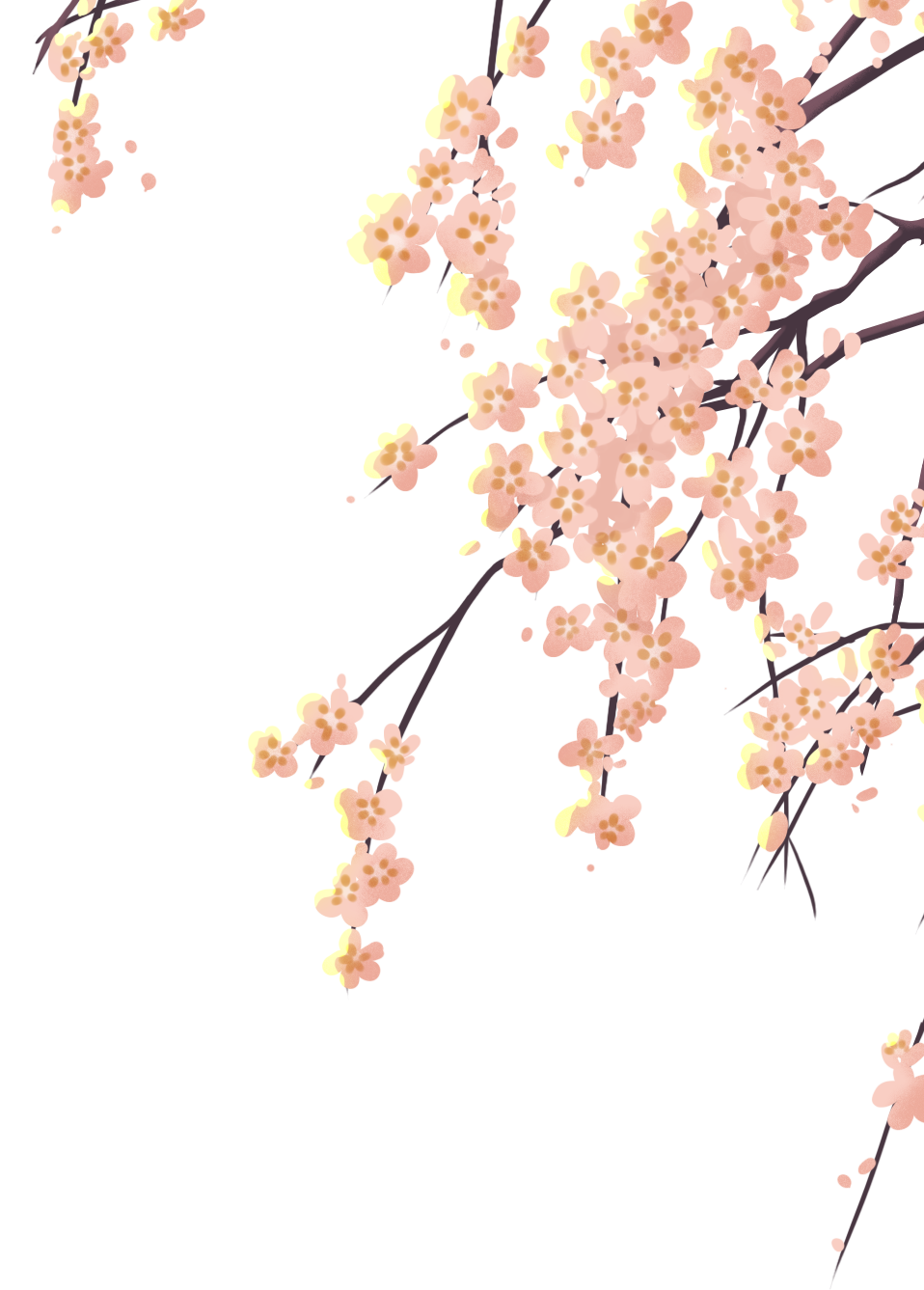 樱花.png