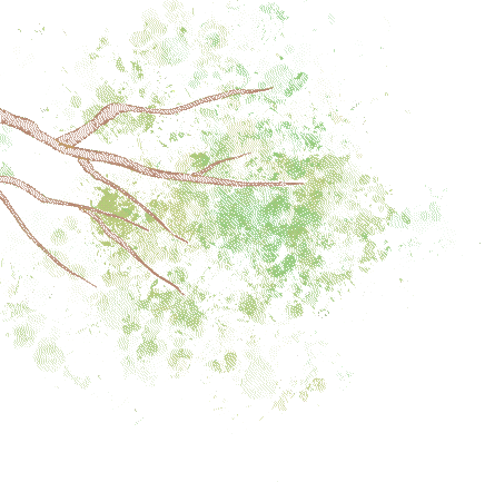 3.gif