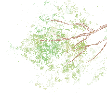 2.gif