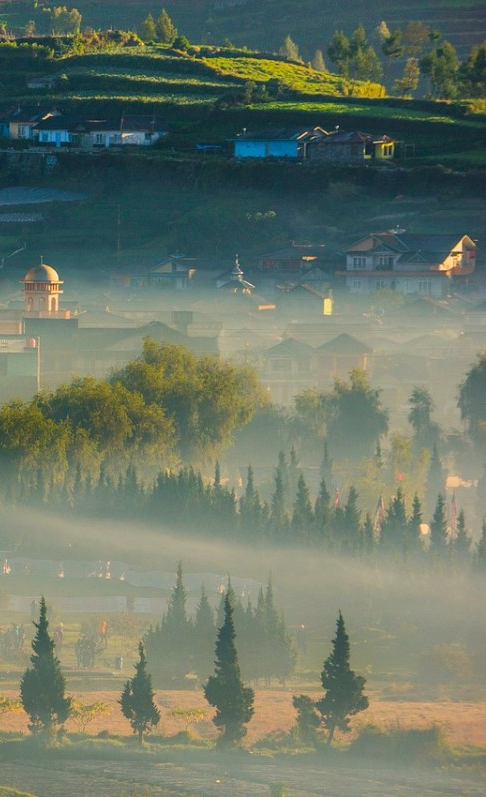 农村清晨的雾与第一缕阳光图片免费图片