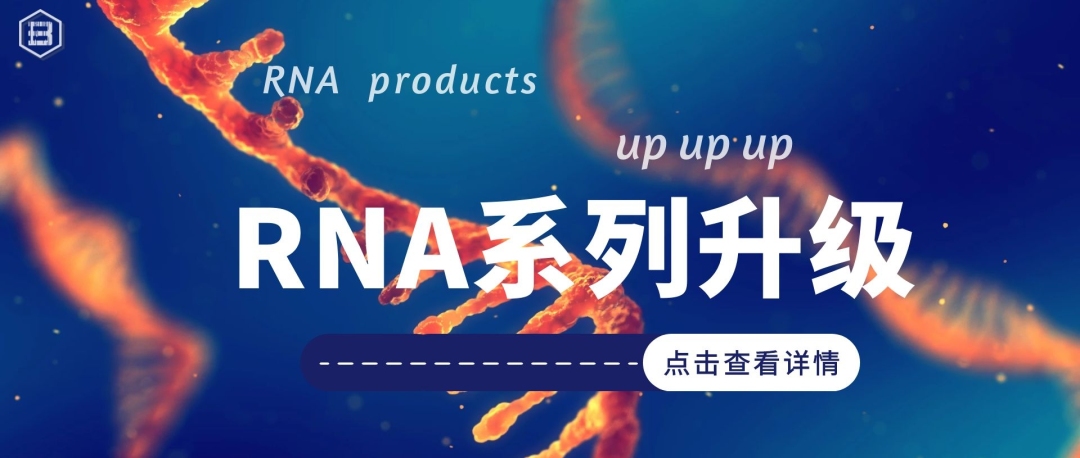 RNA Banner.jpg