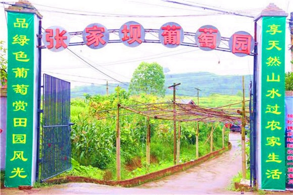 微信图片_20220711145654.png