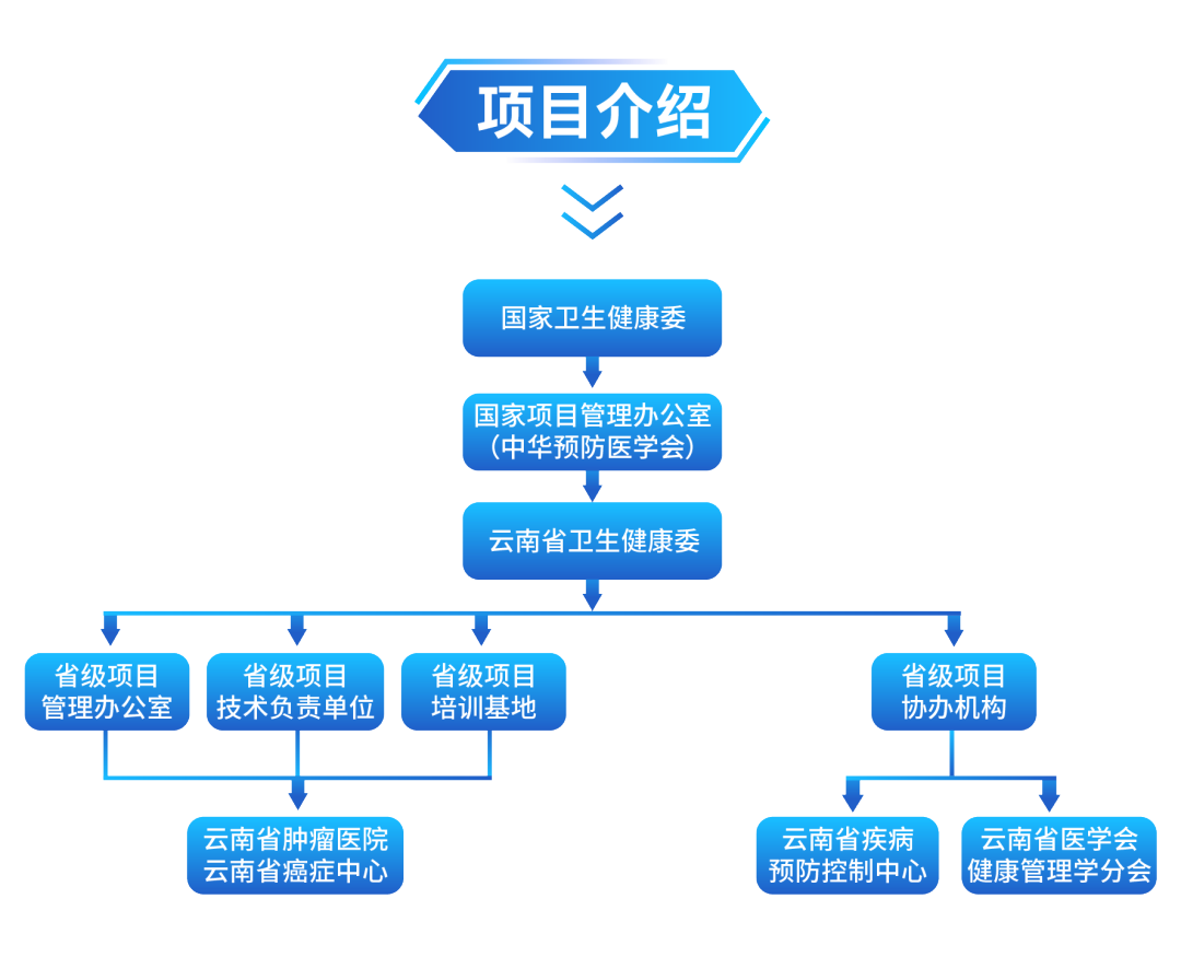 项目介绍更新 825.png