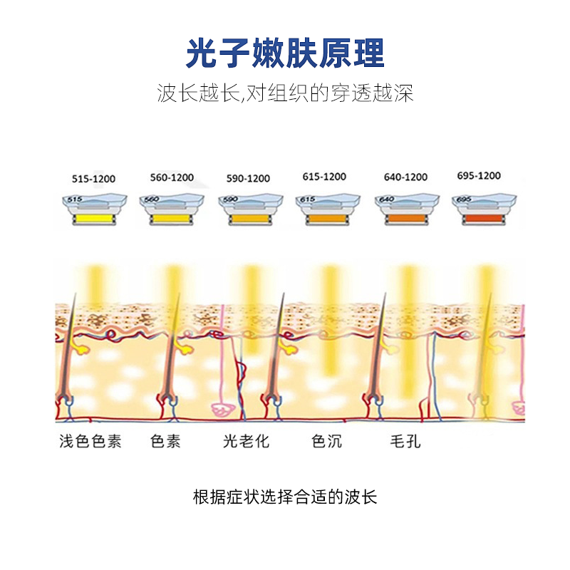 M22广告图6.png