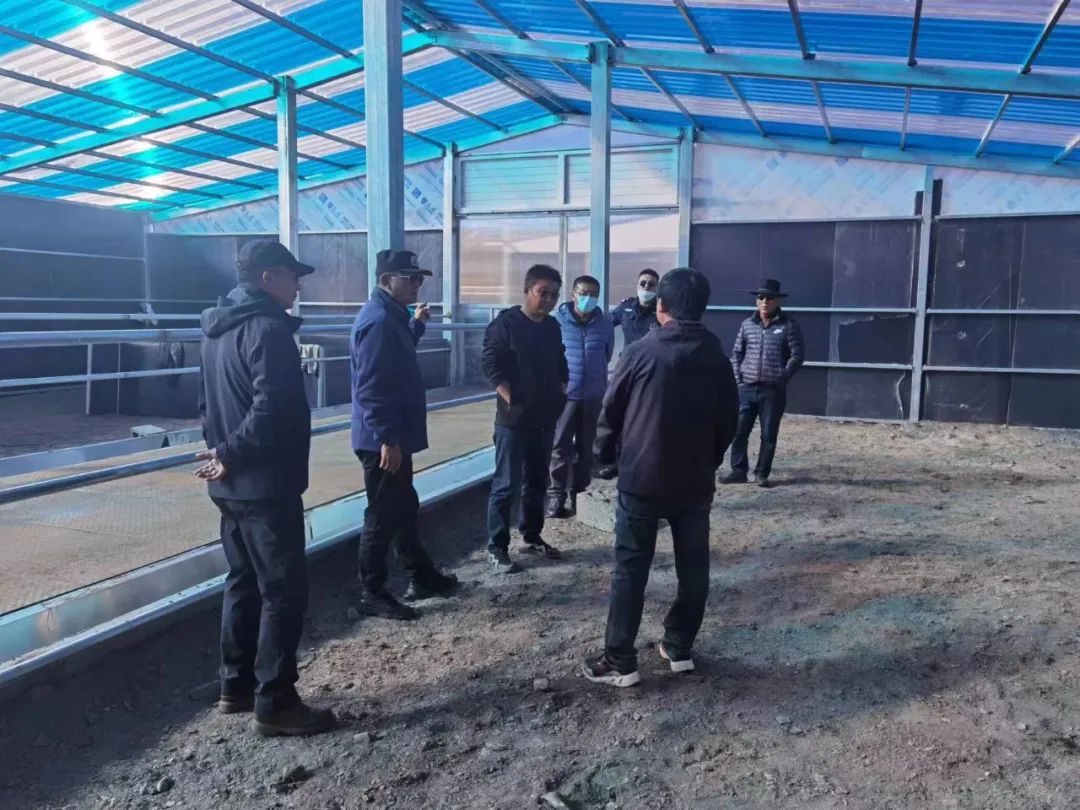 谭晟：立足资源优势，加强良种繁育，加快绿色有机畜产品示范县和世界牦牛种源基地建设
