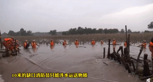 1.gif